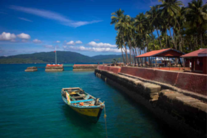Read more about the article Summer Vacation